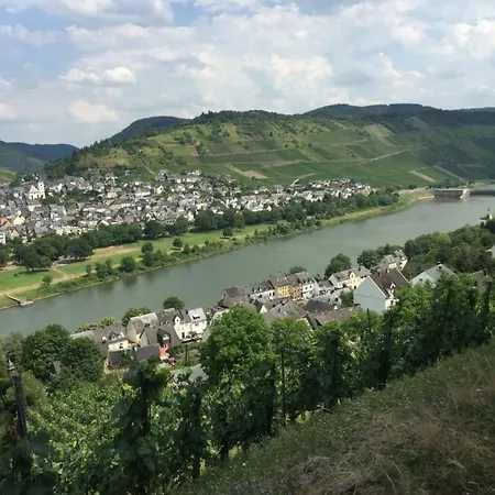 Apartment „marthelsbach Muhle“ Enkirch